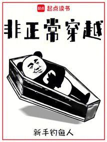 非正常穿越百科
