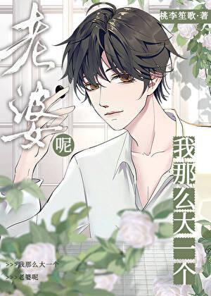 我那么大一个媳妇呢讲的什么