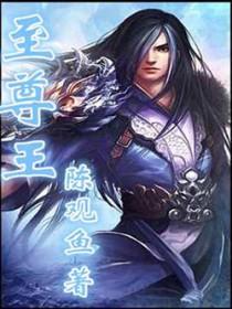 至尊王酒多少钱一瓶53度价格